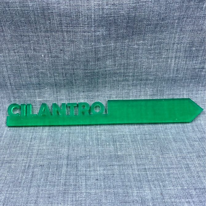 Cilantro-acrylic
