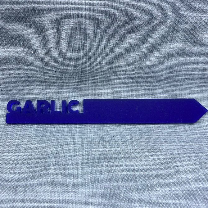 Garlic-Acrylic Plant Stake