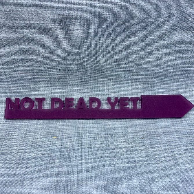 Not Dead Yet-acrylic