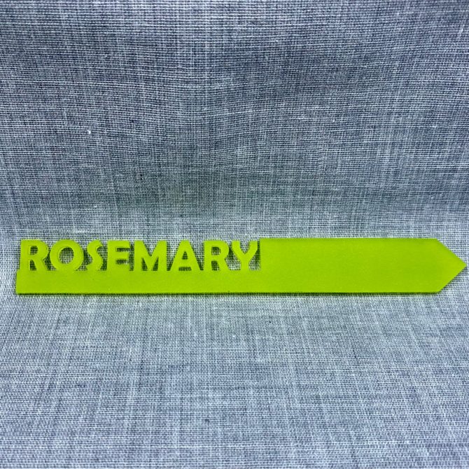 Rosemary-acrylic