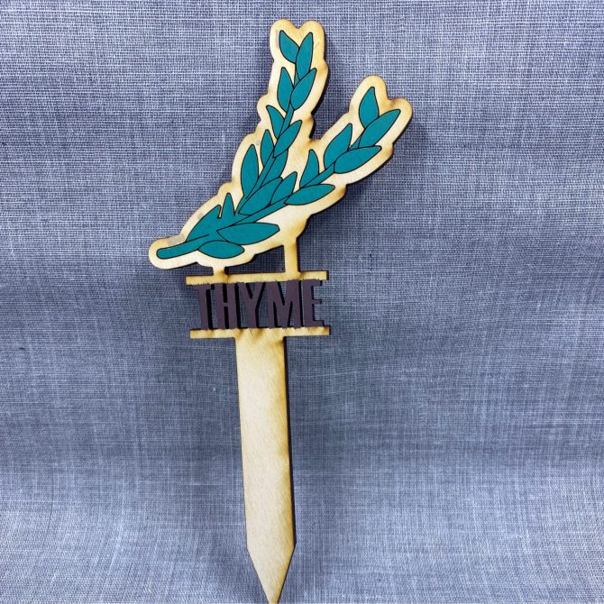 Thyme-wood