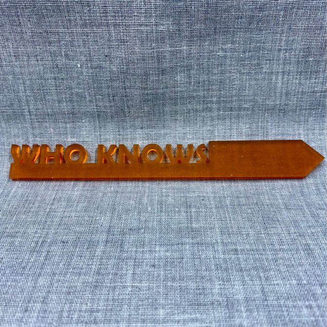 Who Knows-acrylic