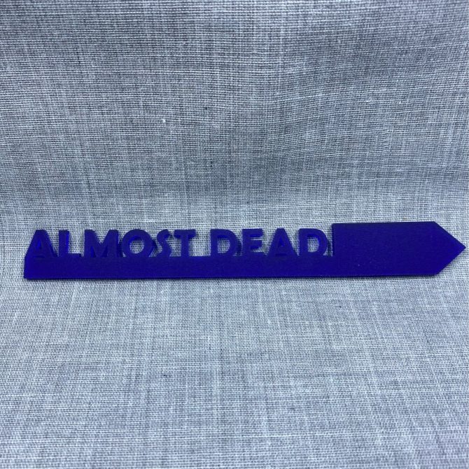 Almost Dead-acrylic