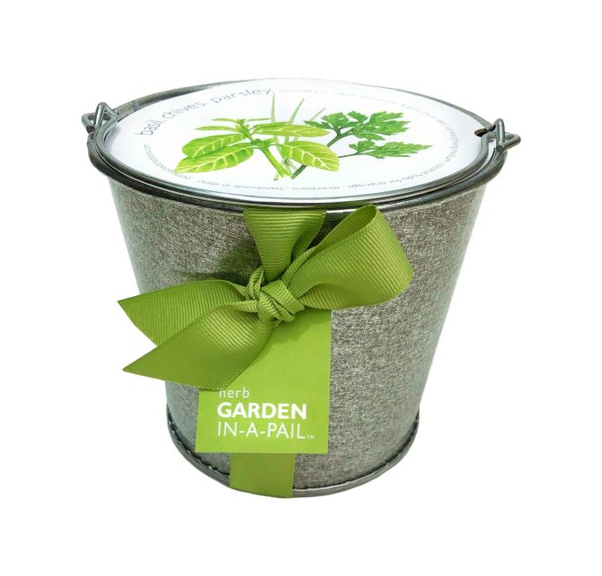 Garden in a Pail | Herb