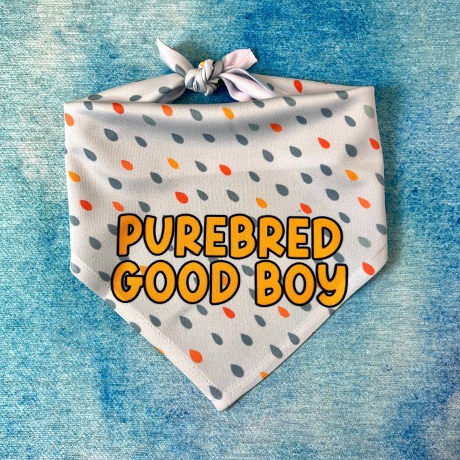 Master of Disaster | Funny Dog Bandana